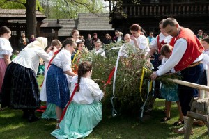 Stavění máje na Valašsku v Beskydech 2015